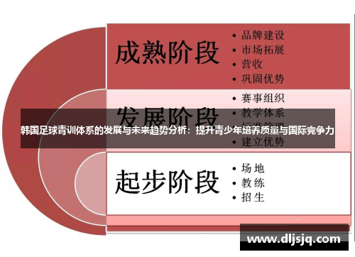 韩国足球青训体系的发展与未来趋势分析：提升青少年培养质量与国际竞争力