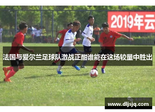 法国与爱尔兰足球队激战正酣谁能在这场较量中胜出