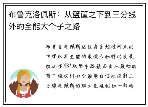 布鲁克洛佩斯：从篮筐之下到三分线外的全能大个子之路